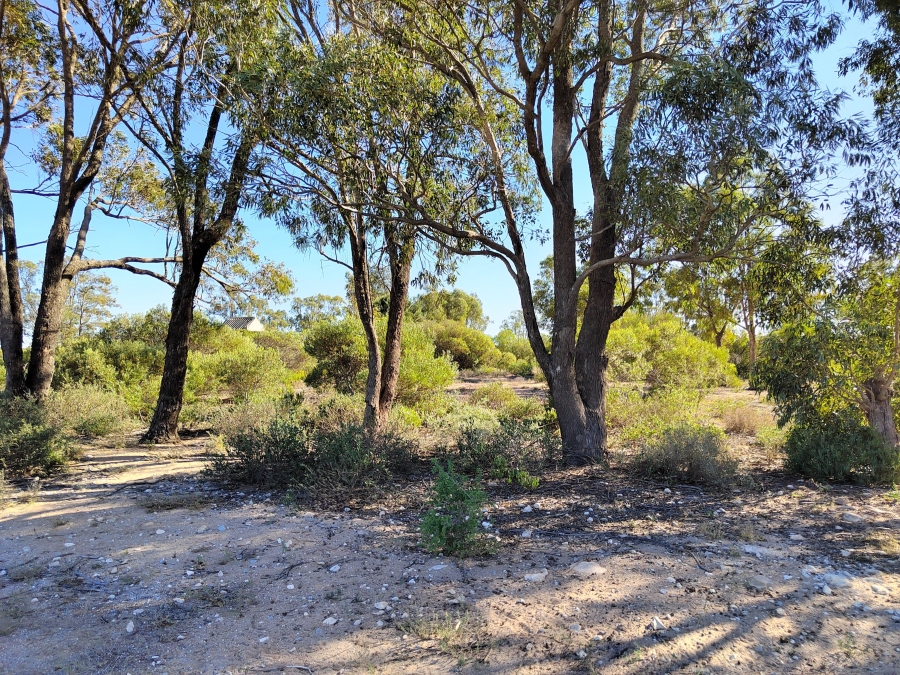 0 Bedroom Property for Sale in Brittania Beach Estate Western Cape